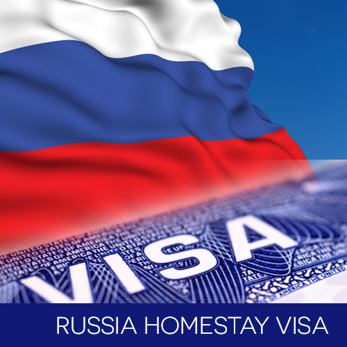 Have Question On Russian Visas 90